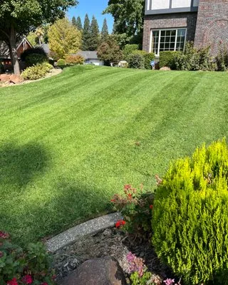 Sierra Vista Landscape Services