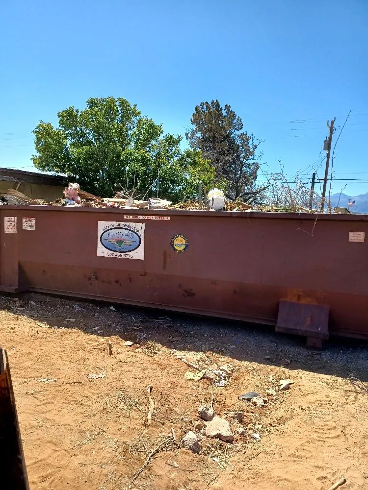 Affordable yard cleanup service in Sierra Vista, AZ - Sierra Vista Side Jobs