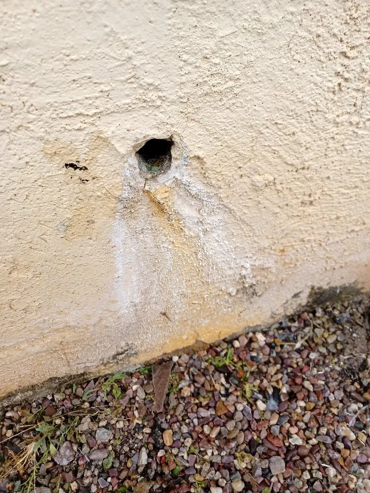 Expert yard cleanup service for beautiful yards across Sierra Vista, AZ - Sierra Vista Side Jobs