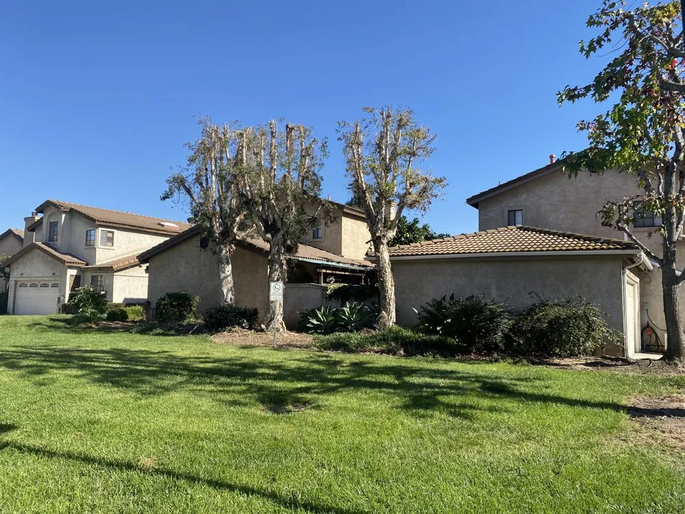 Custom landscape installation in Pomona, CA by Sierra West Landscape Company