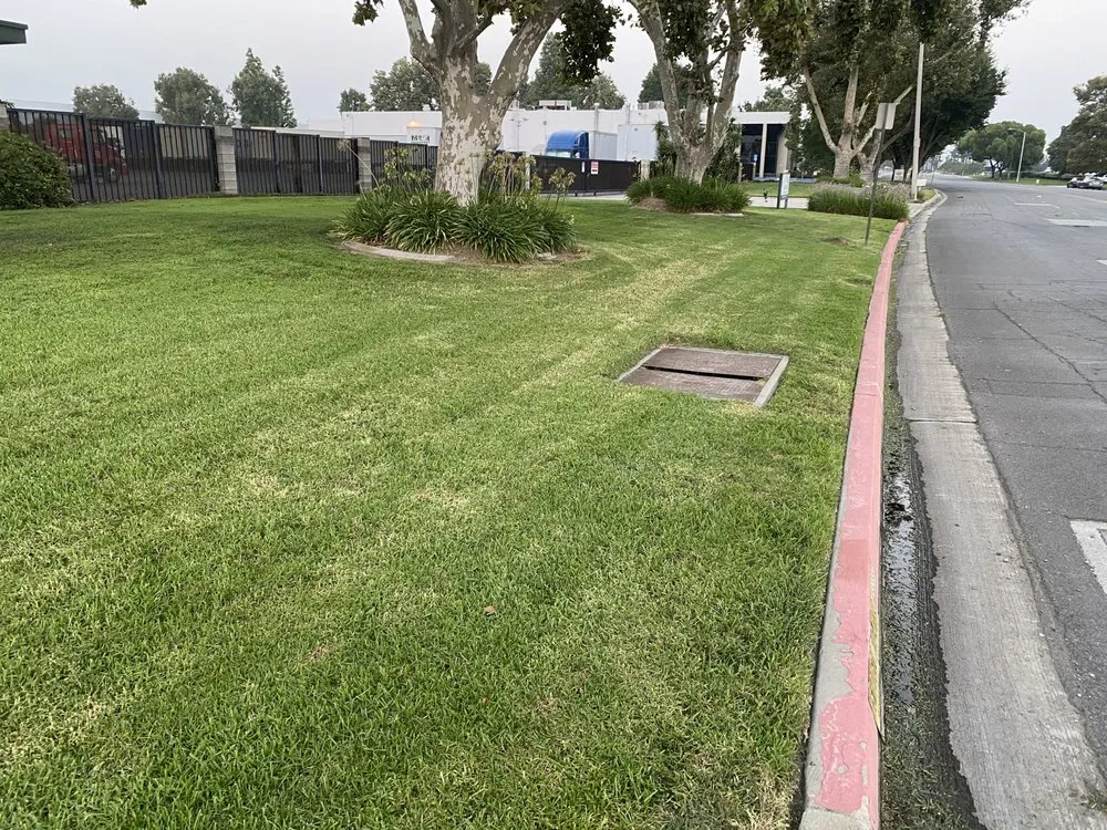 Reliable landscape installation in Pomona, CA by Sierra West Landscape Company