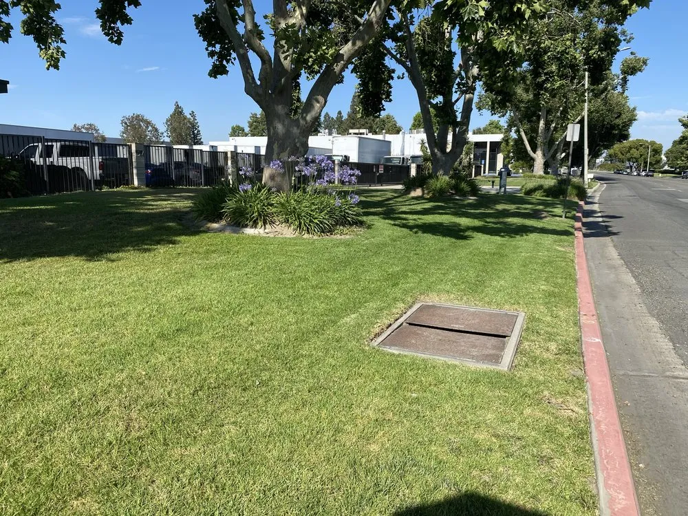 Affordable yard cleanup service in Pomona, CA - Sierra West Landscape Company