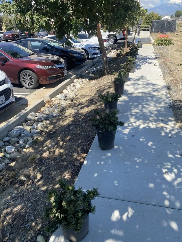 Trusted garden landscaping in Pomona, CA by Sierra West Landscape Company