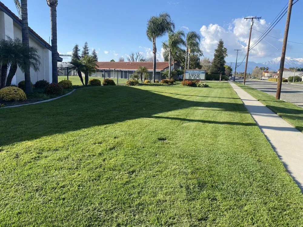 Top-rated yard cleanup service for homes in Pomona, CA by Sierra West Landscape Company
