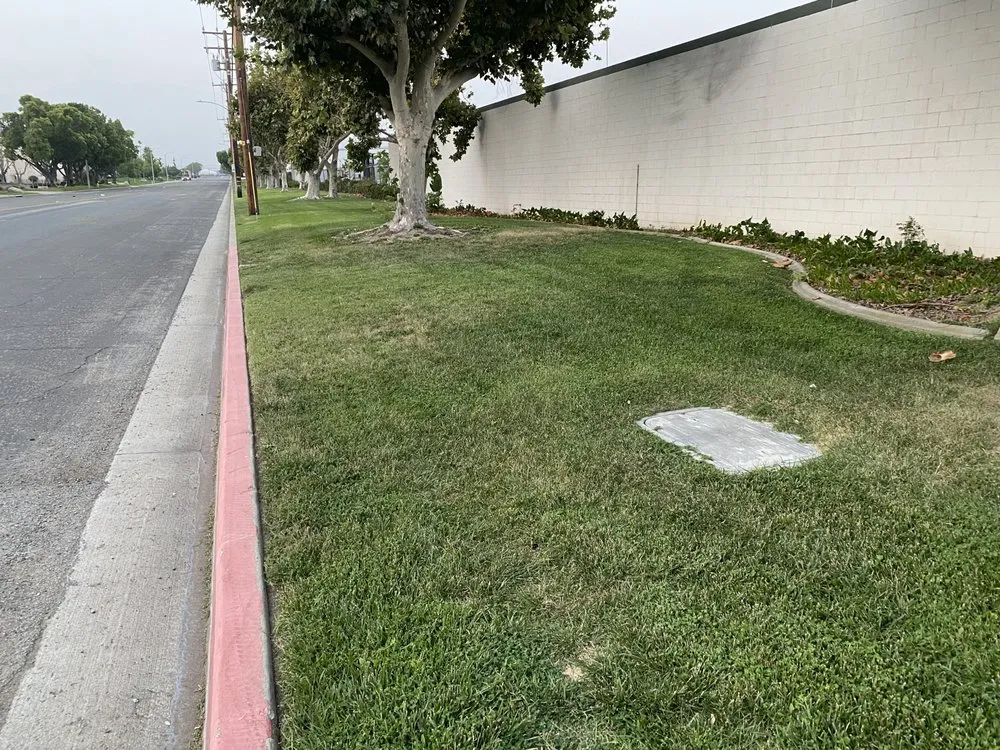 Top-rated lawn care service in Pomona, CA - Sierra West Landscape Company