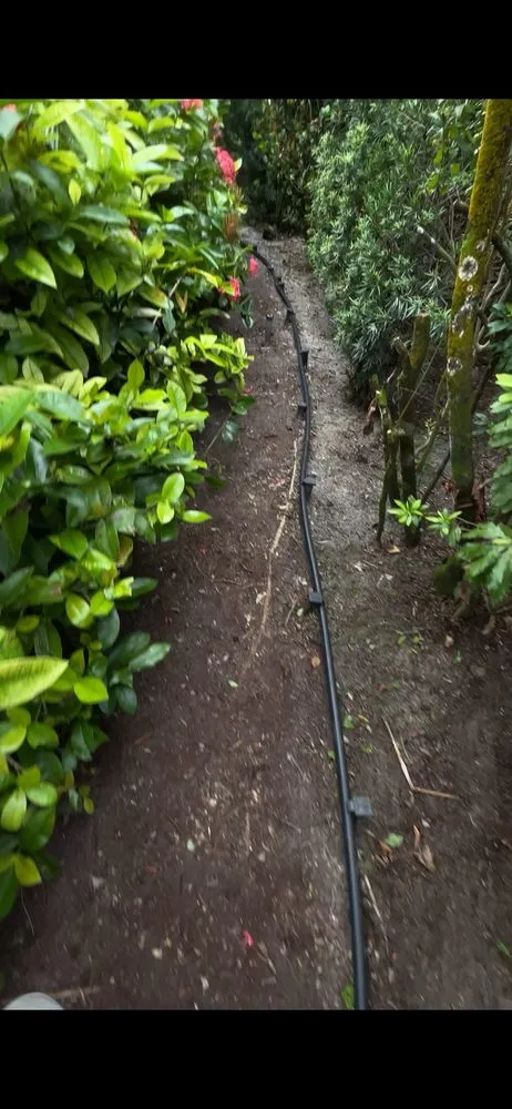 Reliable lawn care service experts serving Stuart, FL - SierraGreen