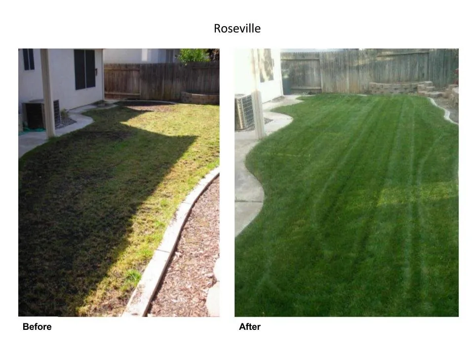 Professional landscape installation in Sacramento, CA - Sierras Lawn Aeration