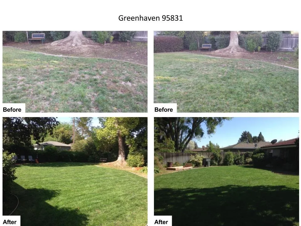 Local yard cleanup service experts serving Sacramento, CA - Sierras Lawn Aeration