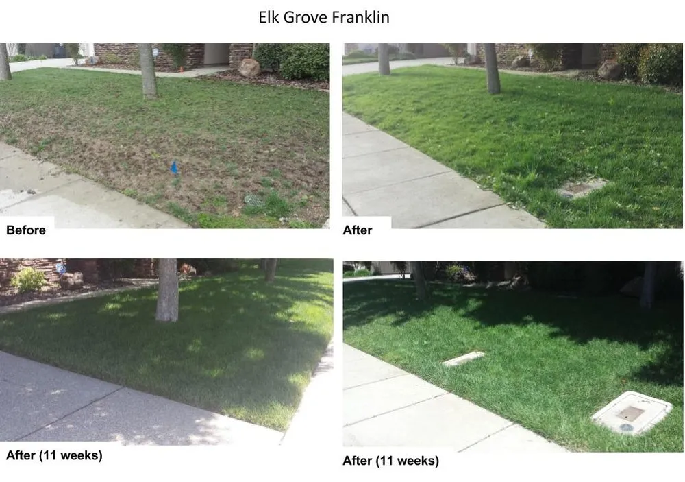 Professional landscape design in Sacramento, CA - Sierras Lawn Aeration