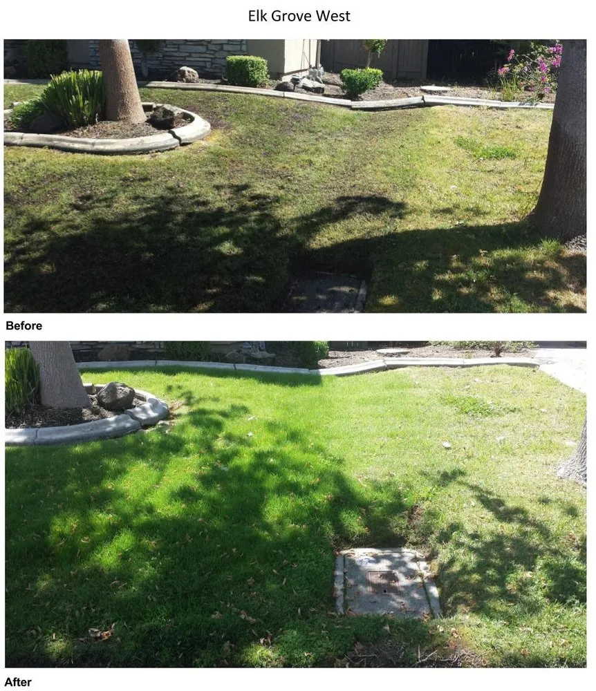 Local lawn care service in Sacramento, CA by Sierras Lawn Aeration