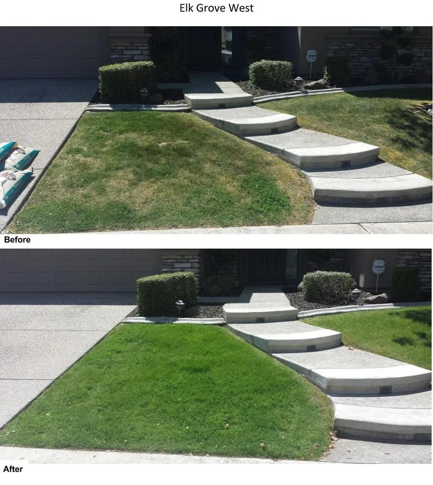 Trusted lawn care service in Sacramento, CA by Sierras Lawn Aeration