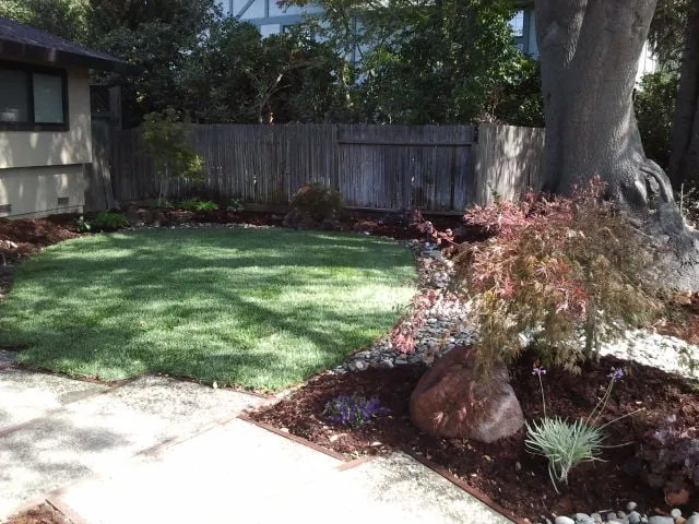 Top-rated garden landscaping for year-round maintenance across Sacramento, CA - Sierras Lawn Aeration