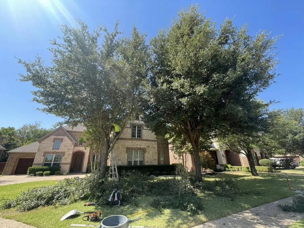 Expert garden landscaping for outdoor upgrades across Hurst, TX - Sierra's Tree Service