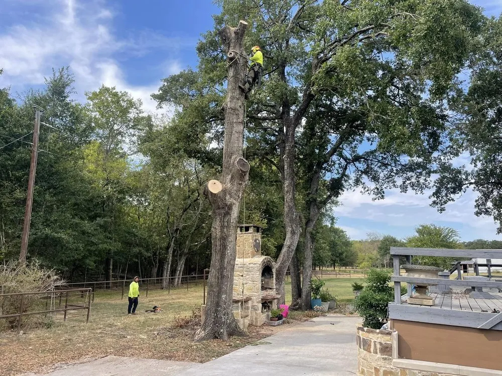 Local landscaping services for residential properties across Hurst, TX - Sierra's Tree Service