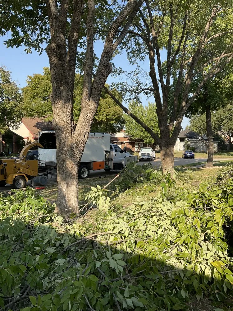Professional yard cleanup service experts serving Hurst, TX - Sierra's Tree Service
