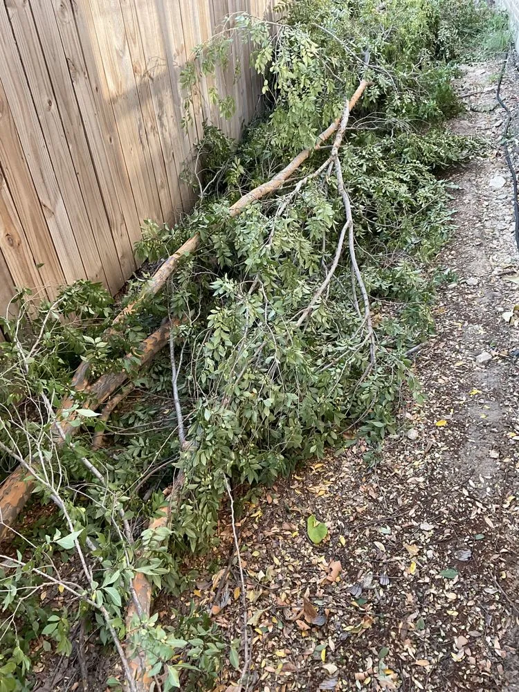 Reliable landscaping services near you in Hurst, TX by Sierra's Tree Service