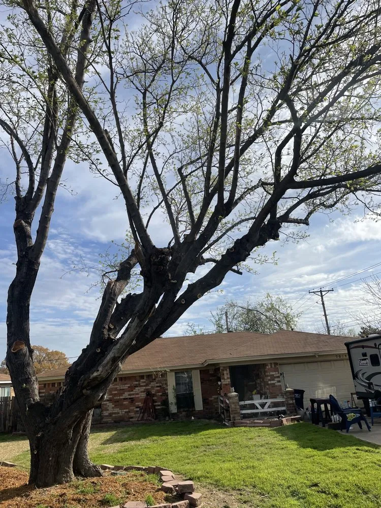 Expert lawn mowing service in Hurst, TX by Sierra's Tree Service