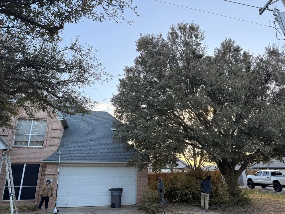 Top-rated yard maintenance for year-round maintenance across Hurst, TX - Sierra's Tree Service