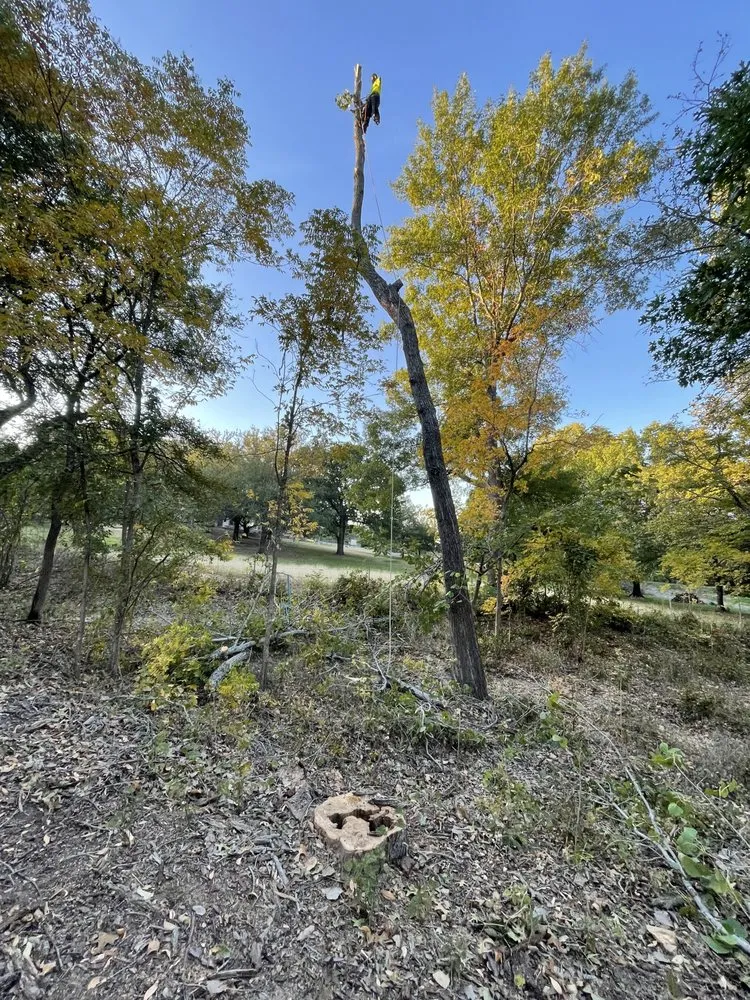 Top-rated lawn mowing service experts serving Hurst, TX - Sierra's Tree Service