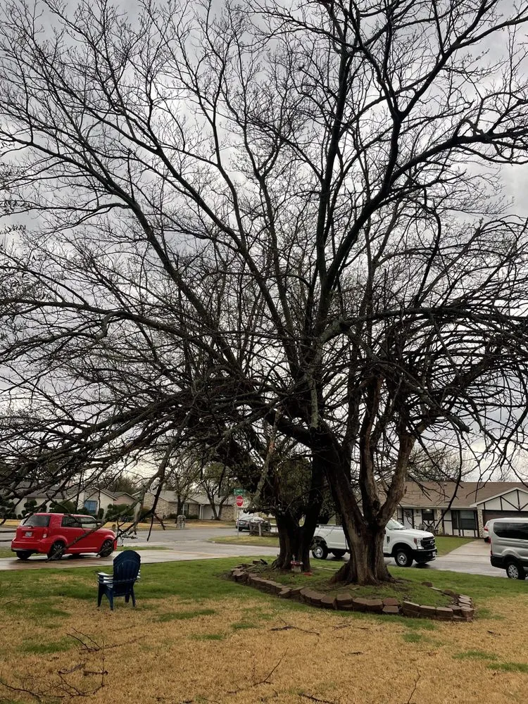 Professional landscaping services in Hurst, TX - Sierra's Tree Service
