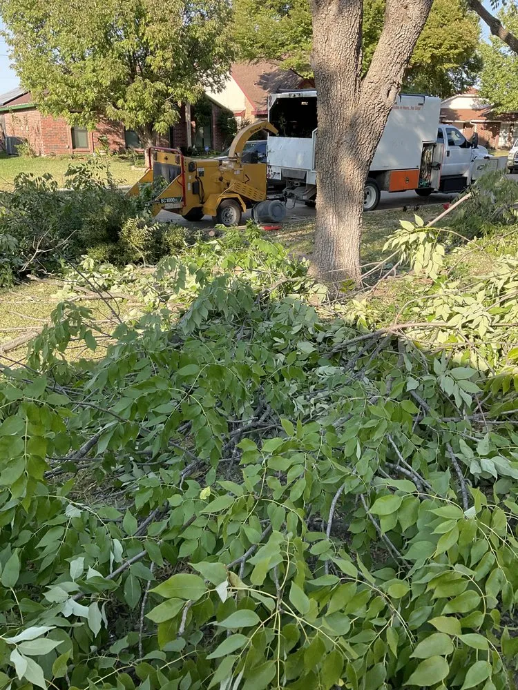 Professional yard cleanup service in Hurst, TX - Sierra's Tree Service
