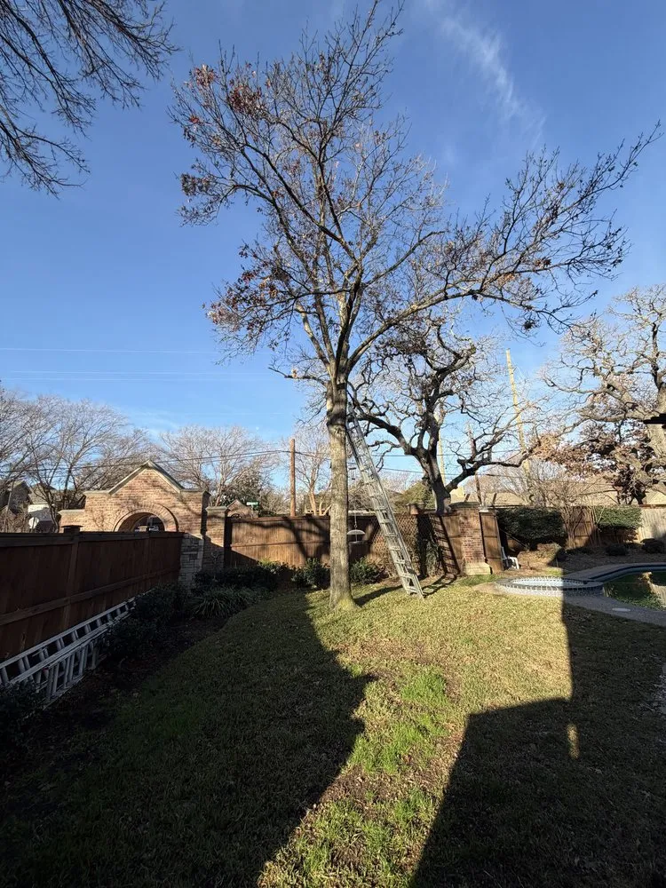 Professional landscape installation experts serving Hurst, TX - Sierra's Tree Service