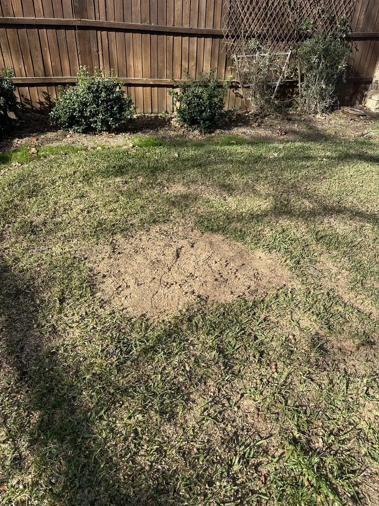 Reliable garden landscaping for year-round maintenance across Hurst, TX - Sierra's Tree Service