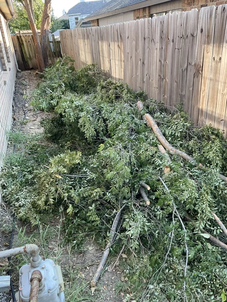 Custom landscape design in Hurst, TX - Sierra's Tree Service