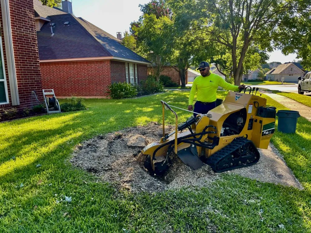 Top-rated yard maintenance in Hurst, TX by Sierra's Tree Service