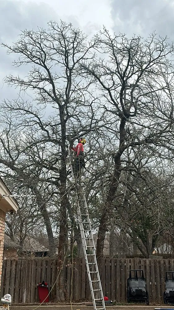 Custom landscaping services for outdoor upgrades in Hurst, TX by Sierra's Tree Service