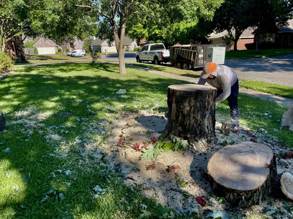 Affordable lawn care service near you across Hurst, TX - Sierra's Tree Service