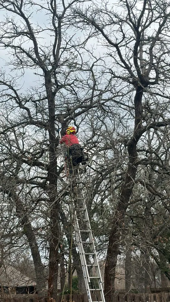 Professional yard cleanup service for beautiful yards across Hurst, TX - Sierra's Tree Service