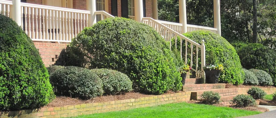 Expert lawn mowing service in Sarasota, FL by Siesta Key Landscape