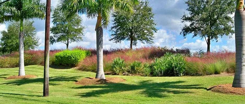Affordable lawn care service for homes across Sarasota, FL - Siesta Key Landscape