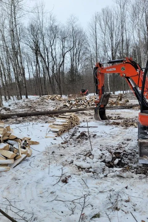 Expert yard cleanup service for beautiful yards across Pulaski, WI - Sievert Excavating