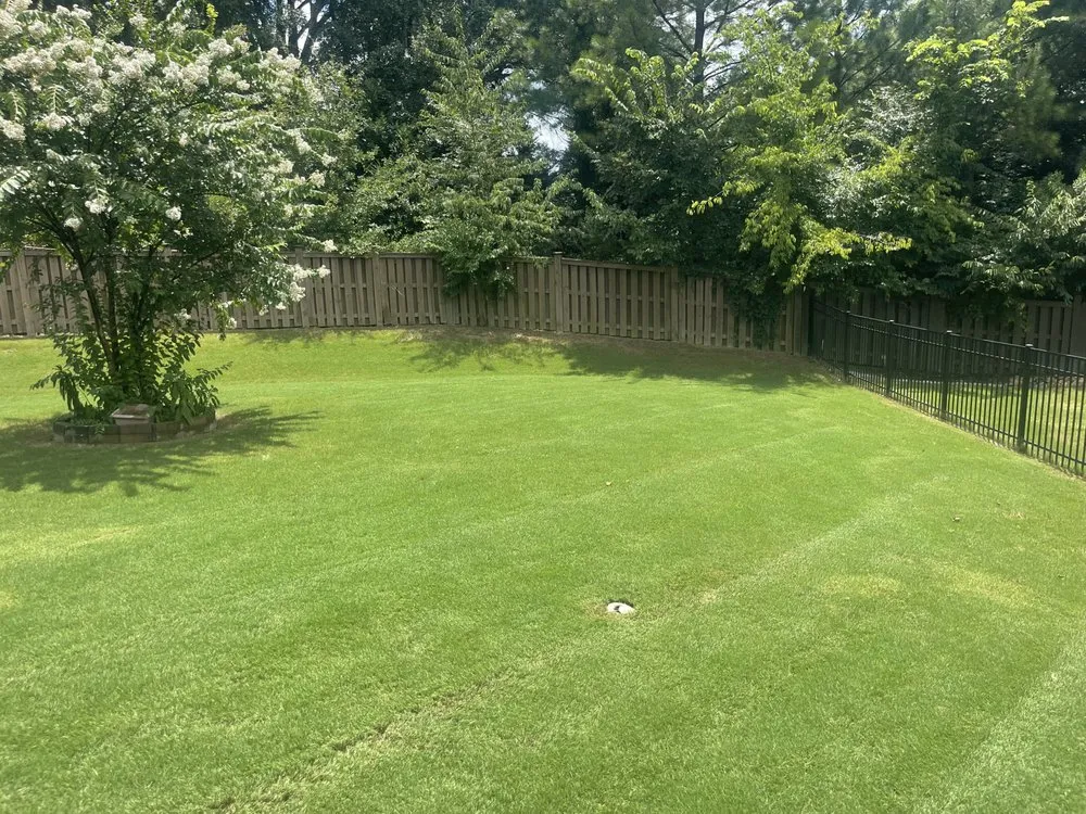 Custom yard cleanup service with custom design in Charlotte, NC by Sifford Enterprises