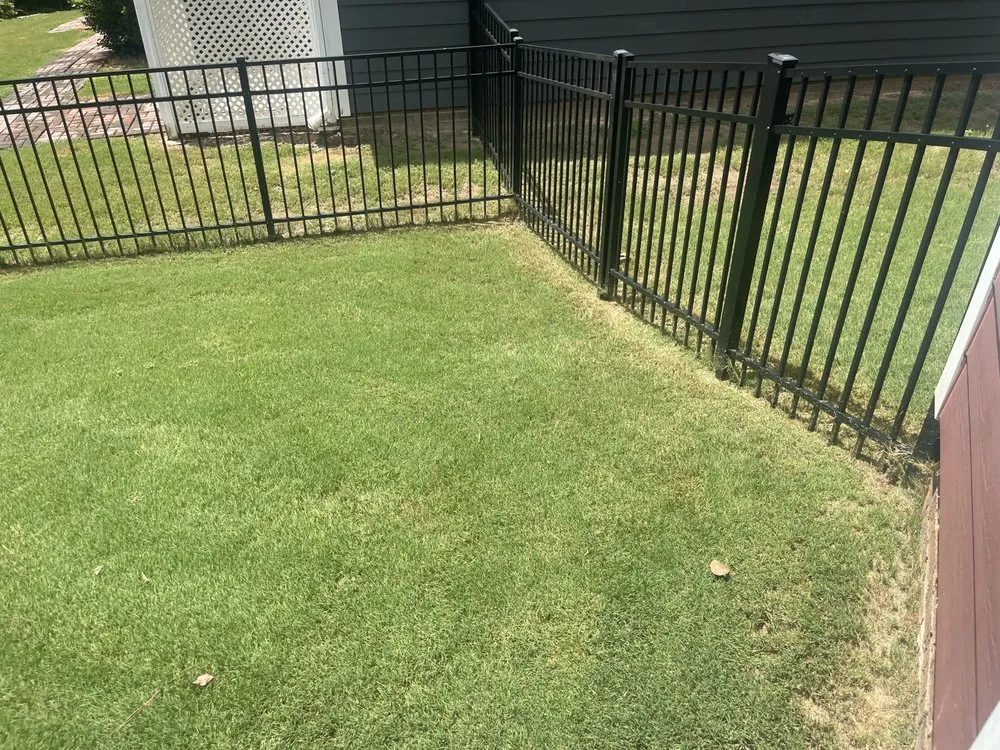 Top-rated yard cleanup service in Charlotte, NC by Sifford Enterprises