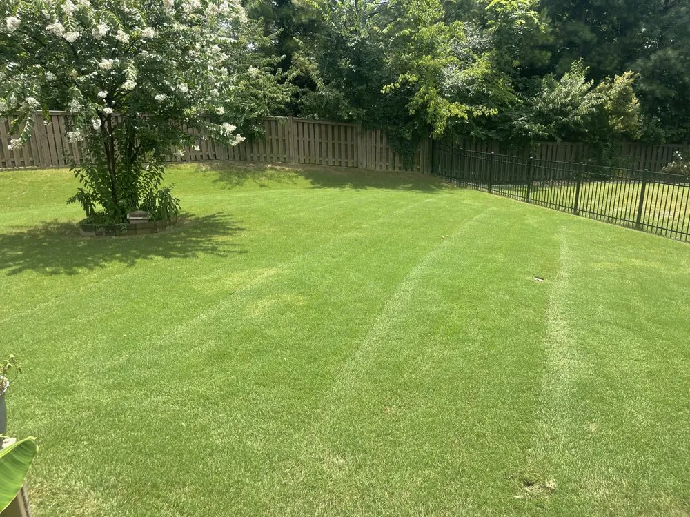 Expert lawn mowing service for residential properties in Charlotte, NC by Sifford Enterprises
