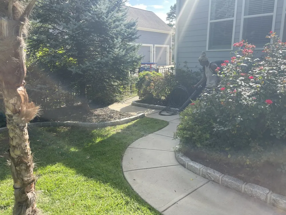 Top-rated yard cleanup service in Charlotte, NC by Sifford Enterprises