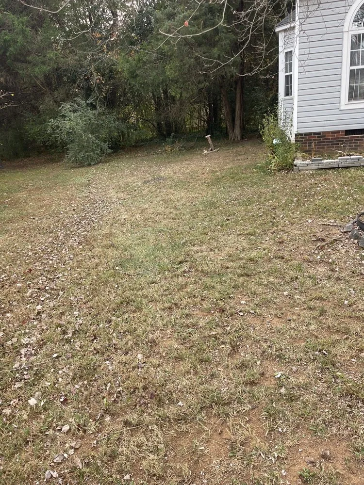 Reliable garden landscaping in Charlotte, NC - Sifford Enterprises