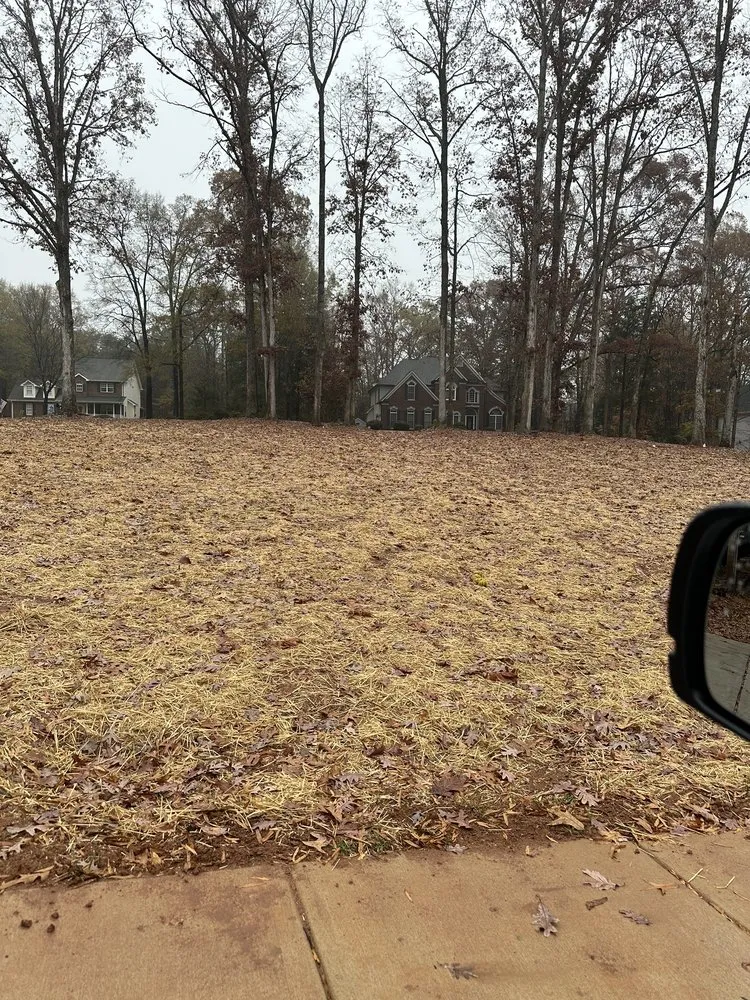 Professional lawn care service in Charlotte, NC - Sifford Enterprises