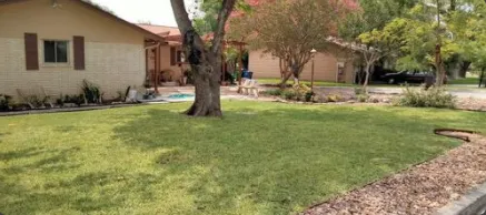 Affordable lawn mowing service experts serving Converse, TX - Sifuentes Lawn Care