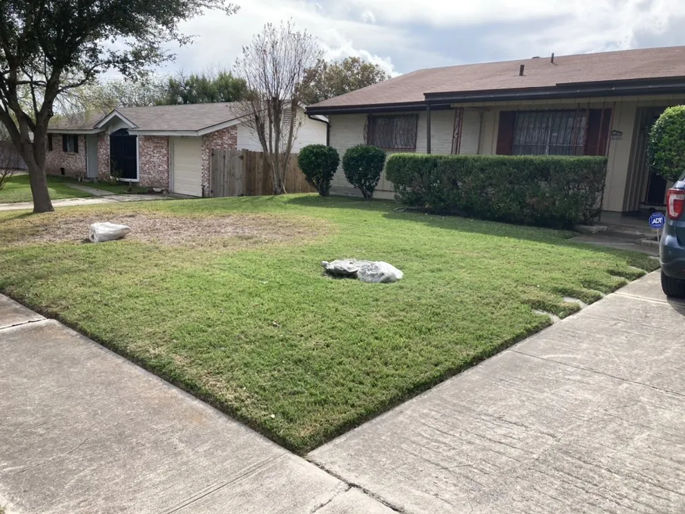 Reliable yard cleanup service with custom design across Converse, TX - Sifuentes Lawn Care