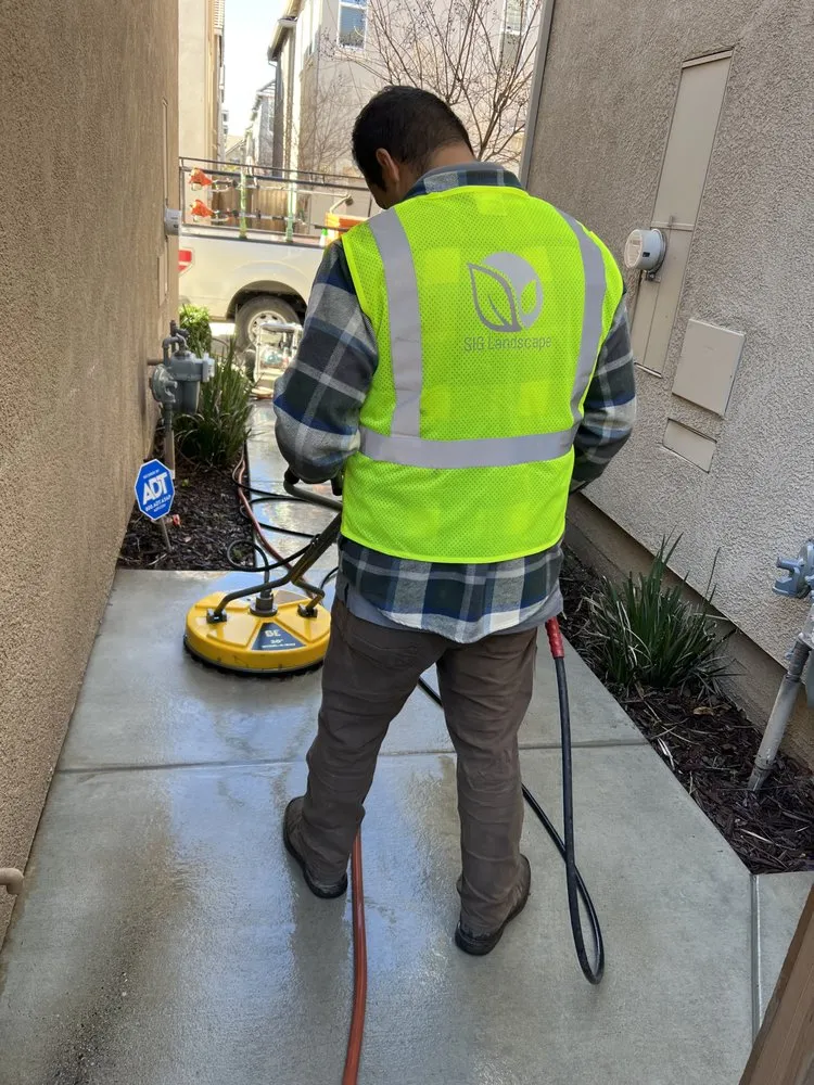 Custom yard cleanup service in Modesto, CA by SIG Landscape