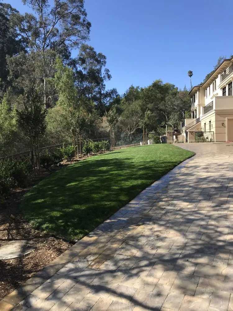 Reliable yard cleanup service for residential properties in Modesto, CA by SIG Landscape