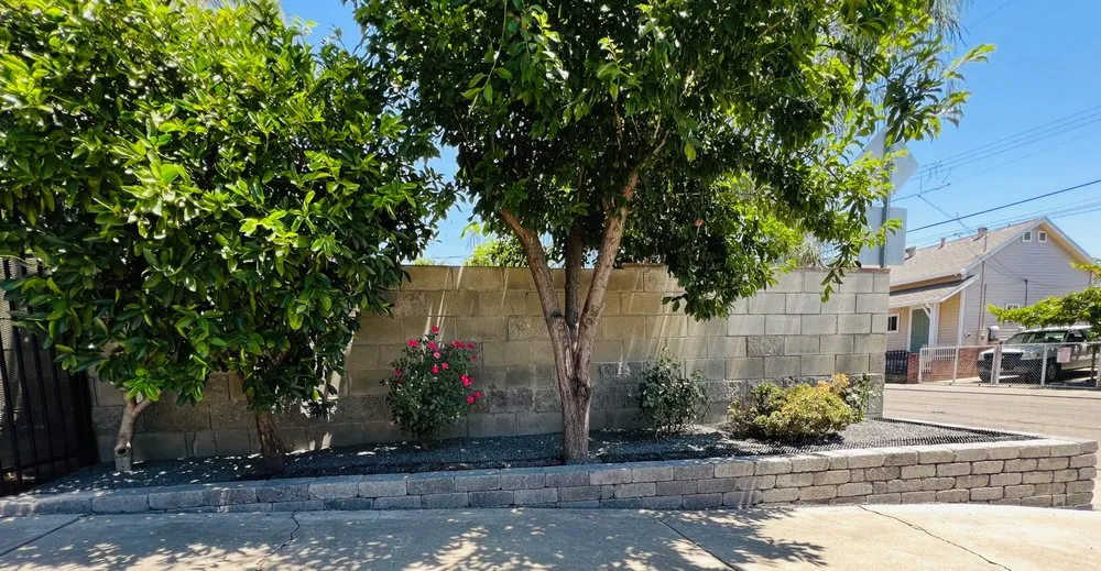 Affordable lawn care service near you in Modesto, CA by SIG Landscape