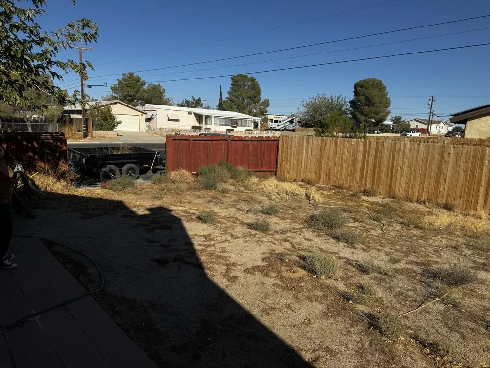 Trusted yard cleanup service for year-round maintenance in Ridgecrest, CA by Sigala Yard Service