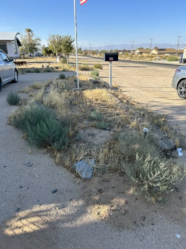 Reliable yard cleanup service experts serving Ridgecrest, CA - Sigala Yard Service