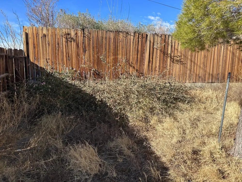 Local outdoor landscaping near you in Ridgecrest, CA by Sigala Yard Service