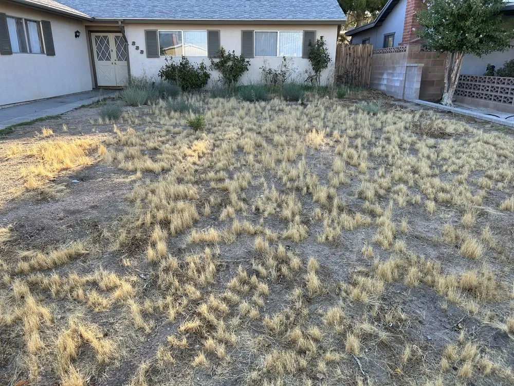 Top-rated landscape design for beautiful yards in Ridgecrest, CA by Sigala Yard Service